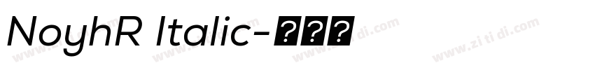 NoyhR Italic字体转换 NoyhR Italic字体转换